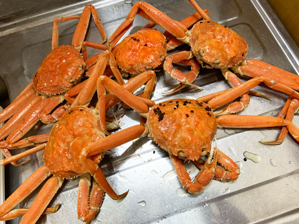 crab1114.jpg