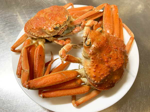 crab1229.jpg
